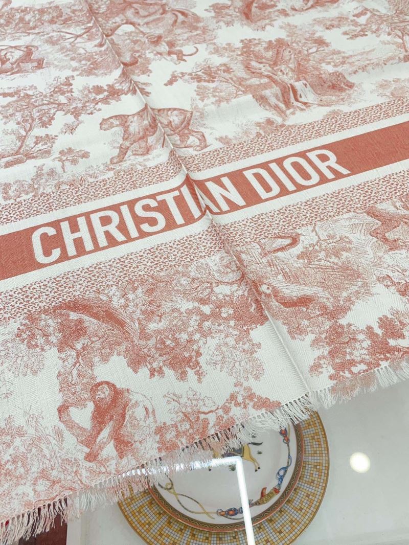 Christian Dior Scarf